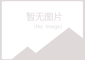 珠海夏岚运输有限公司